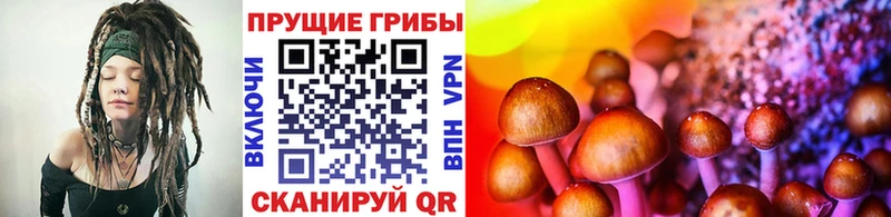 Псилоцибиновые грибы ЛСД  где продают наркотики  omg маркетплейс  Иваново 